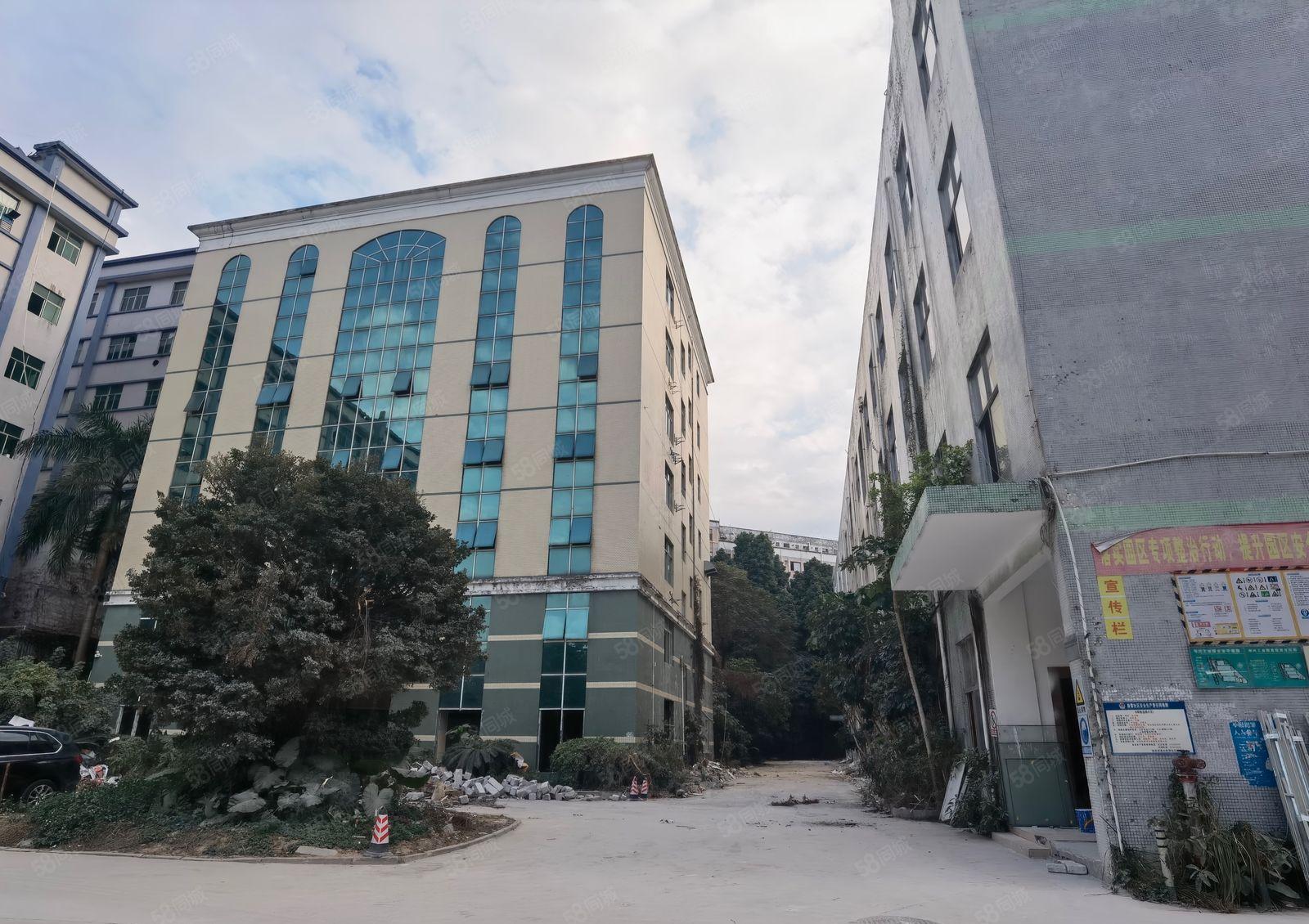 坂田雪象标准一楼3000平方，可以分租，租金46，6成使用率