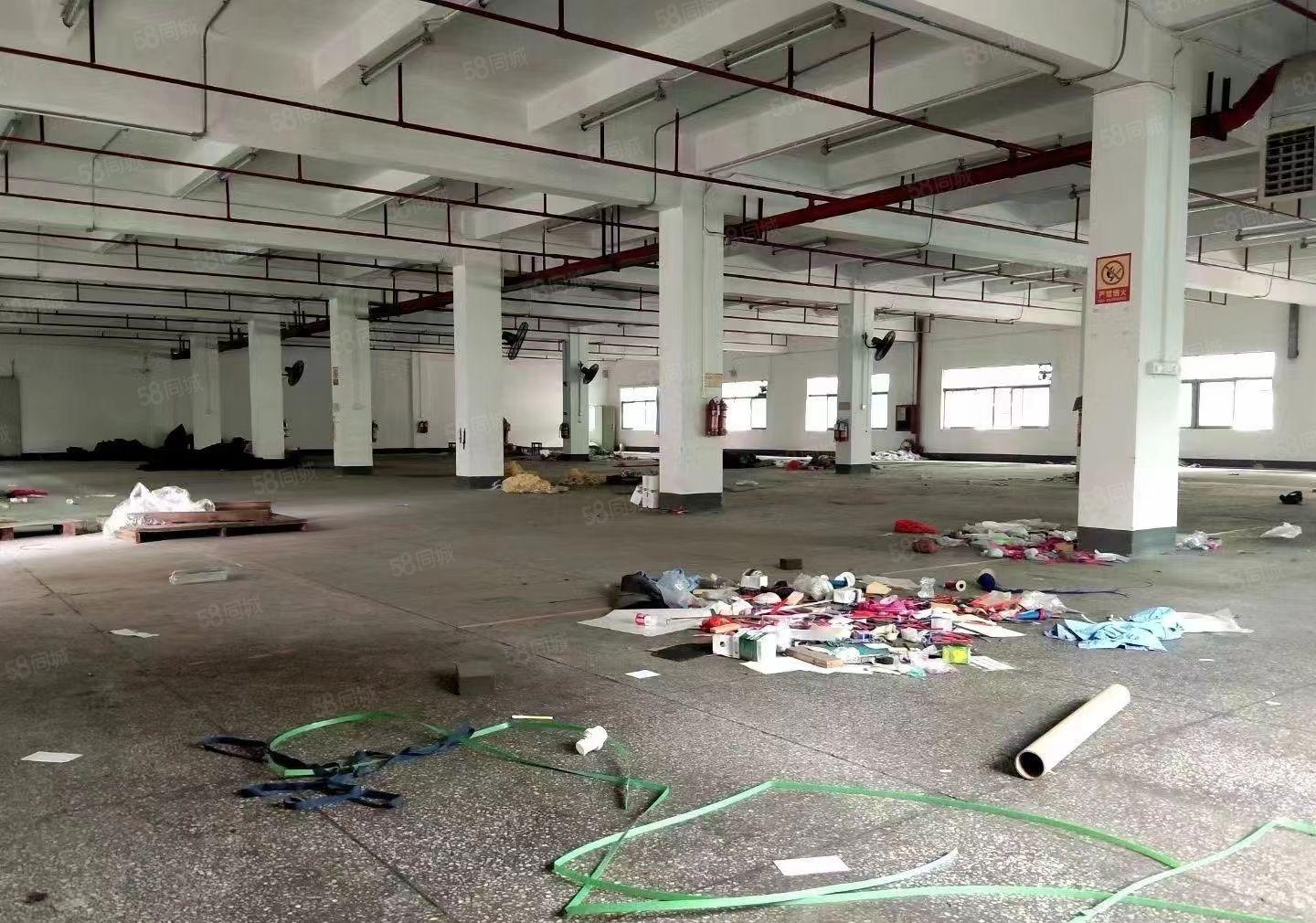 平湖富民原房东独院6000平方带装修厂房出租