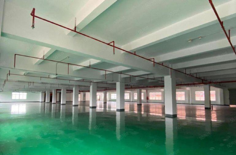 超大空地布吉地铁口原房东红本独院厂房15000平方出租可分租