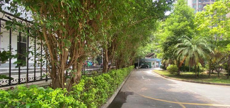 龙岗坂田电商园厂房带装修办公200平至2000平可分租出租