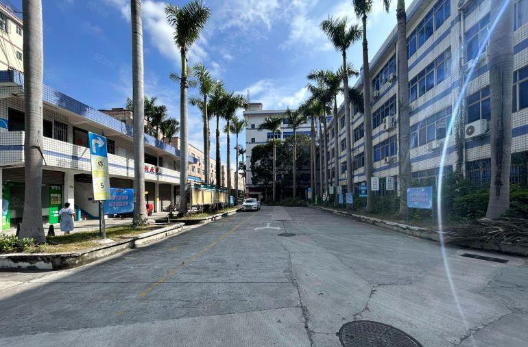 龙岗中心城原房东工业园楼上500平带装修办公室厂房出租