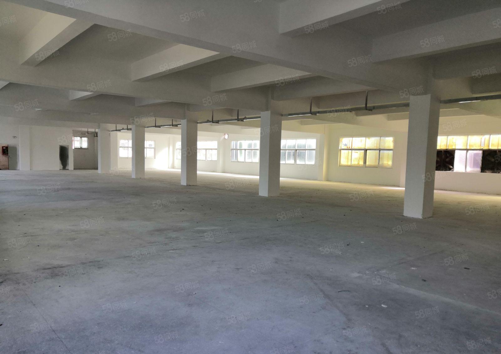 宝龙一楼厂房1800平方米电可提供400kvA可分租