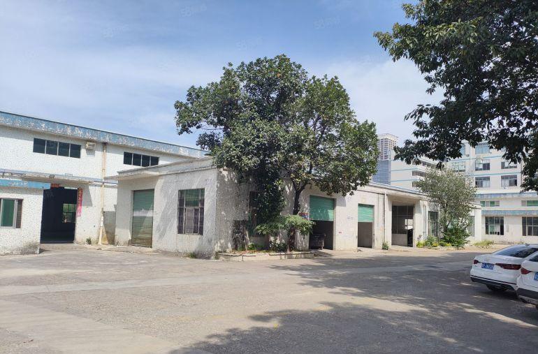 龙岗中心城工业园区6000平钢结构低价仓库厂房出租300起租