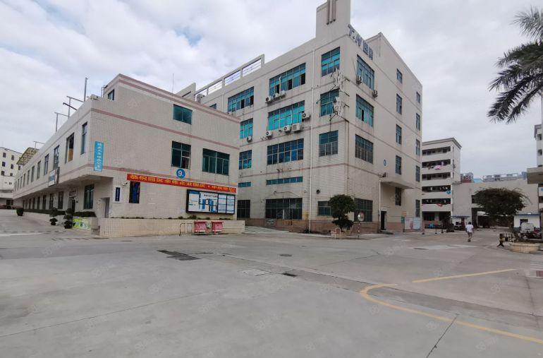 大小面积办公室仓库出租平湖华南城地铁口1000平厂房招租