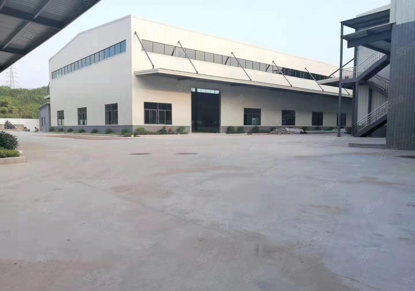 龙岗中心城新出滴水8米钢构厂房仓库1500平方，可分租