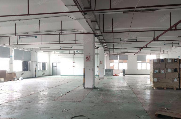 平湖辅城坳楼上1000平厂房仓库出租，带装修可分租