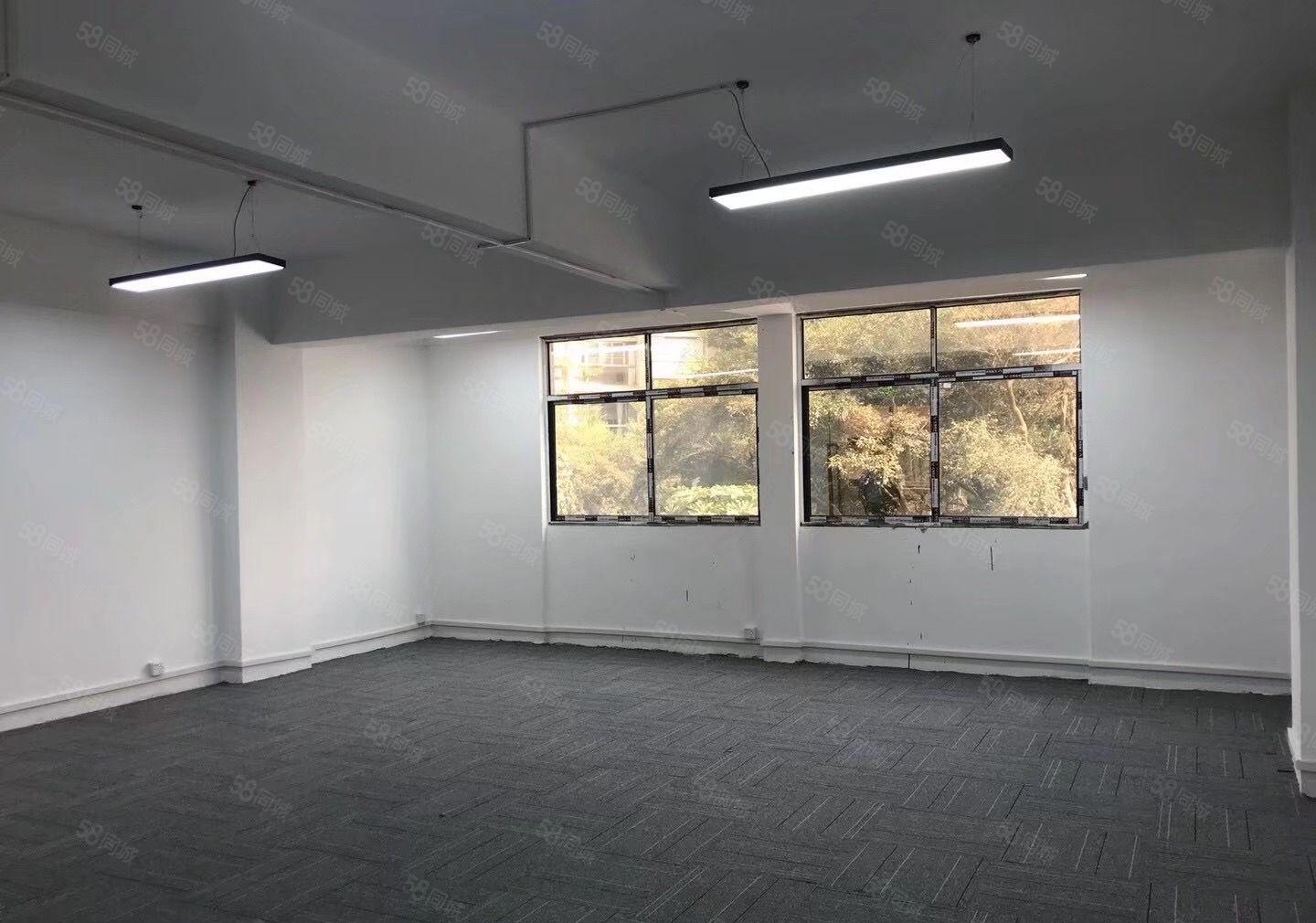 原业主独门独院电商办公厂房一楼仓库200一1200平带装修