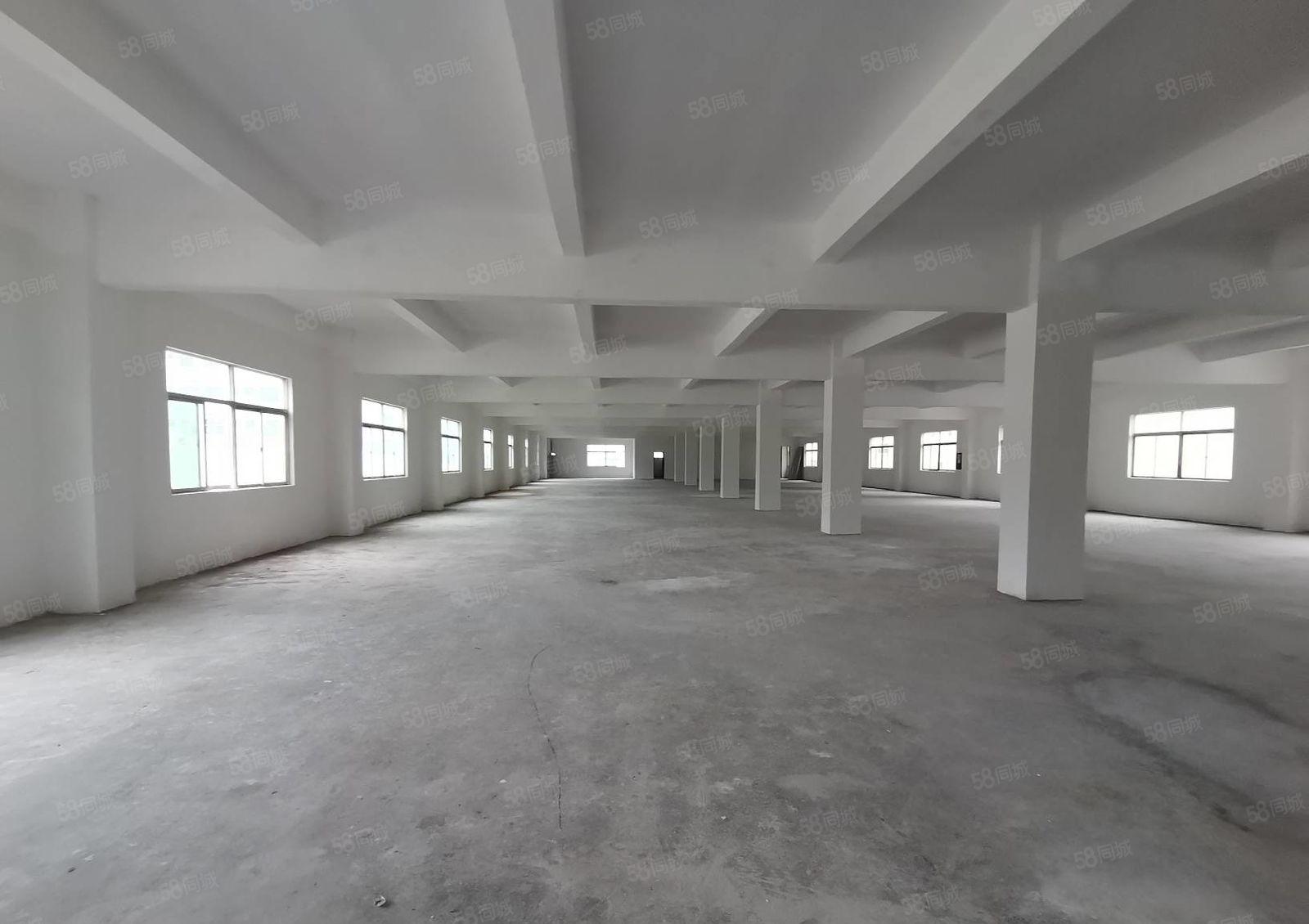 深圳市龙岗区同乐原房东独门独院厂房出租交通便利周边设施齐全