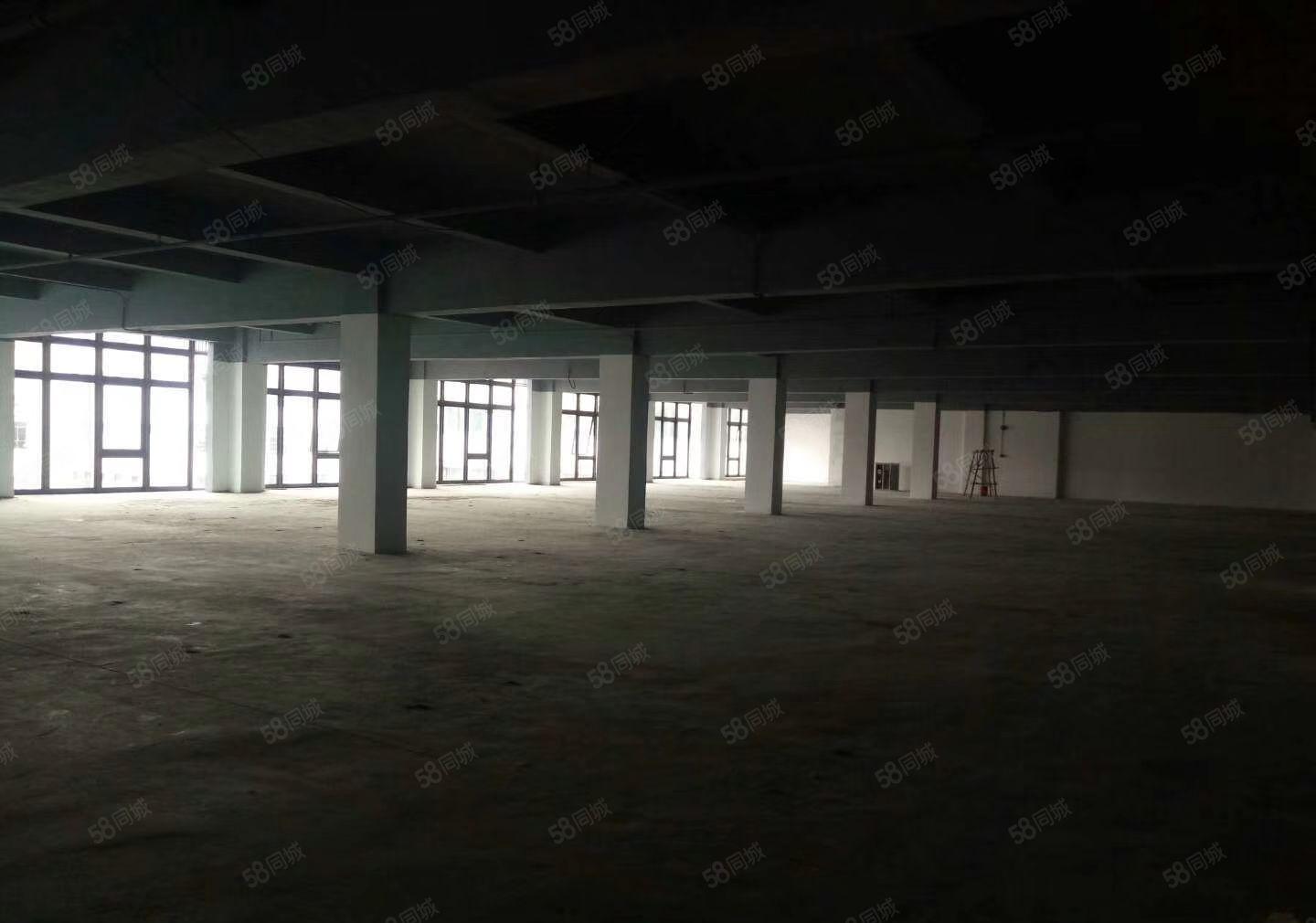 平湖上木古高新产业园新出3楼560平方厂房仓库出租