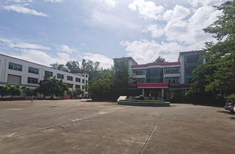 合同十年！龙岗原房东独门独院10000平红本办公厂房低价出租