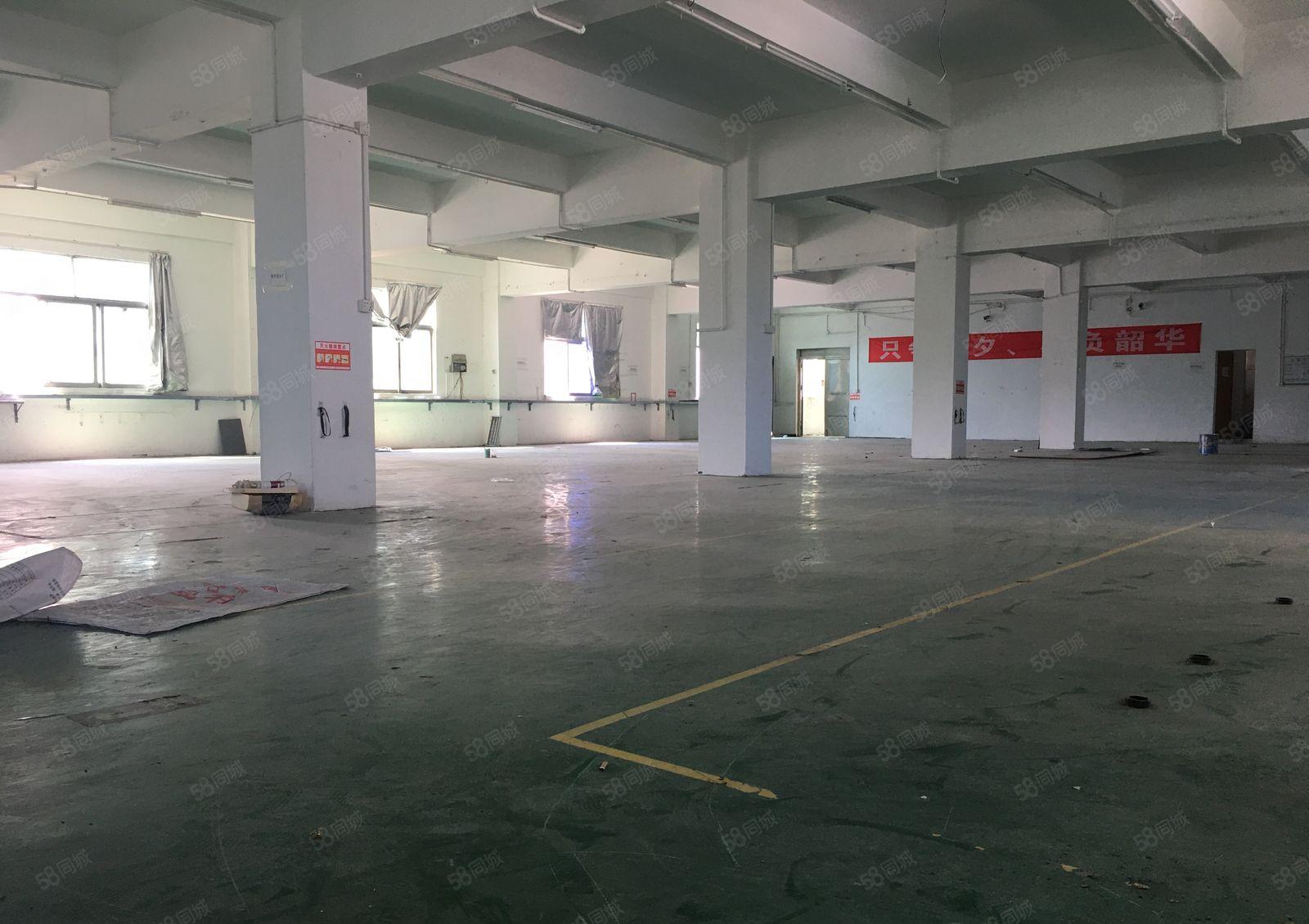 平湖新木工业园独院2百平5百平8百平1千平仓库厂房出租可分租