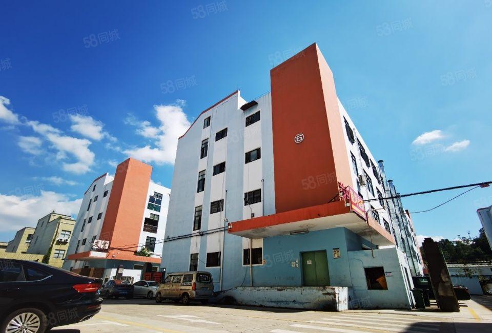 500平起租大型工业园全新地坪漆一楼楼上1600平可办环评