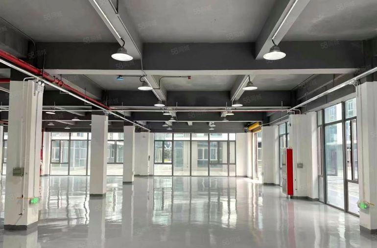 坂田杨美地铁口电商园单层2000平办公厂房电商仓库出租可分租