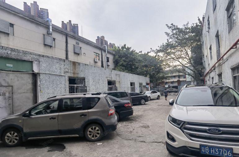 龙岗新生龙园大观新生路一楼700平整层可以分租一半