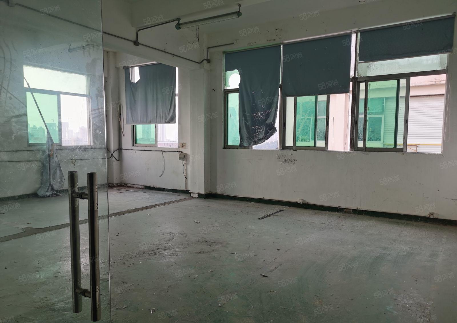 岗头地铁站135平起租办公仓库厂房出租，已隔好，实用高