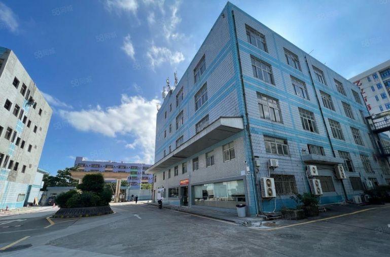 层高9米一楼，横岗六约新村红本厂房出租，不限行业