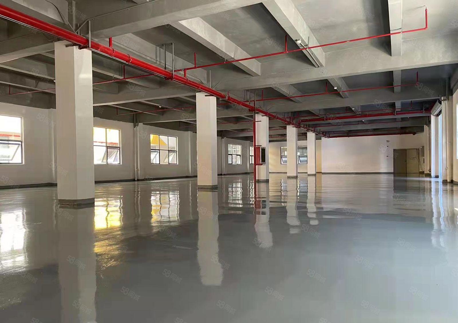 南联地铁口全新装修厂房，适合电商教育行业