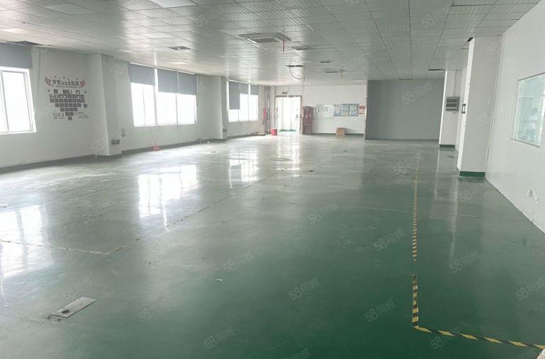 龙岗中心城地铁口楼上1000平精装修厂房仓库出租可分租低价