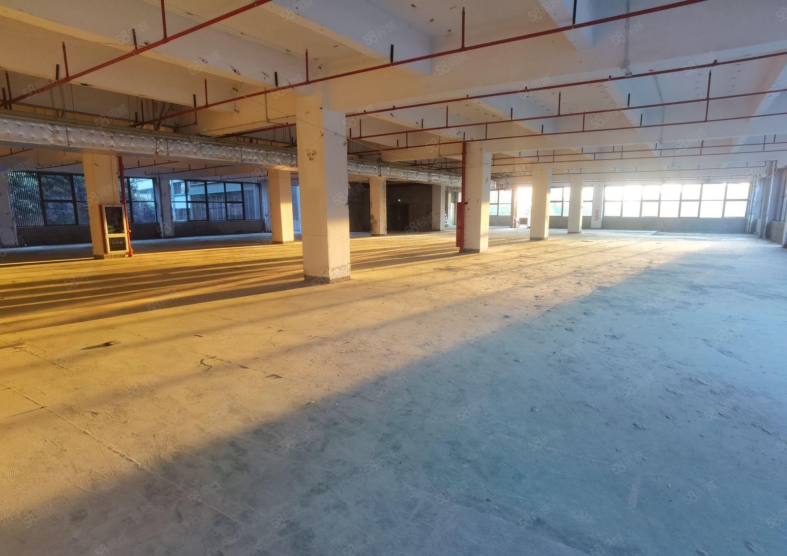 坂田原房东带红本厂房出租60000平