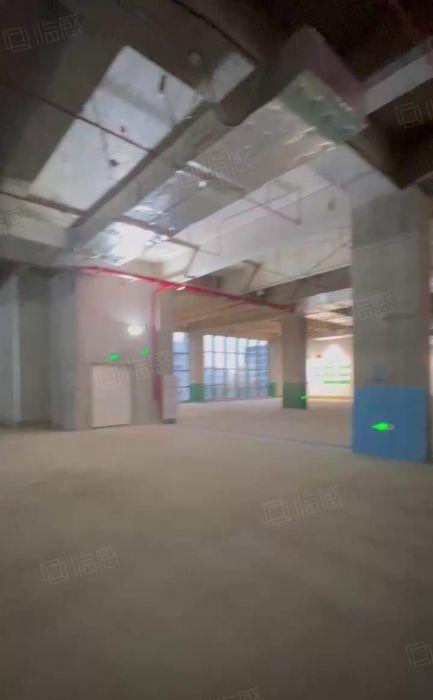 生物医疗产业园百分之90政府房租补贴单层面积5580平可分。