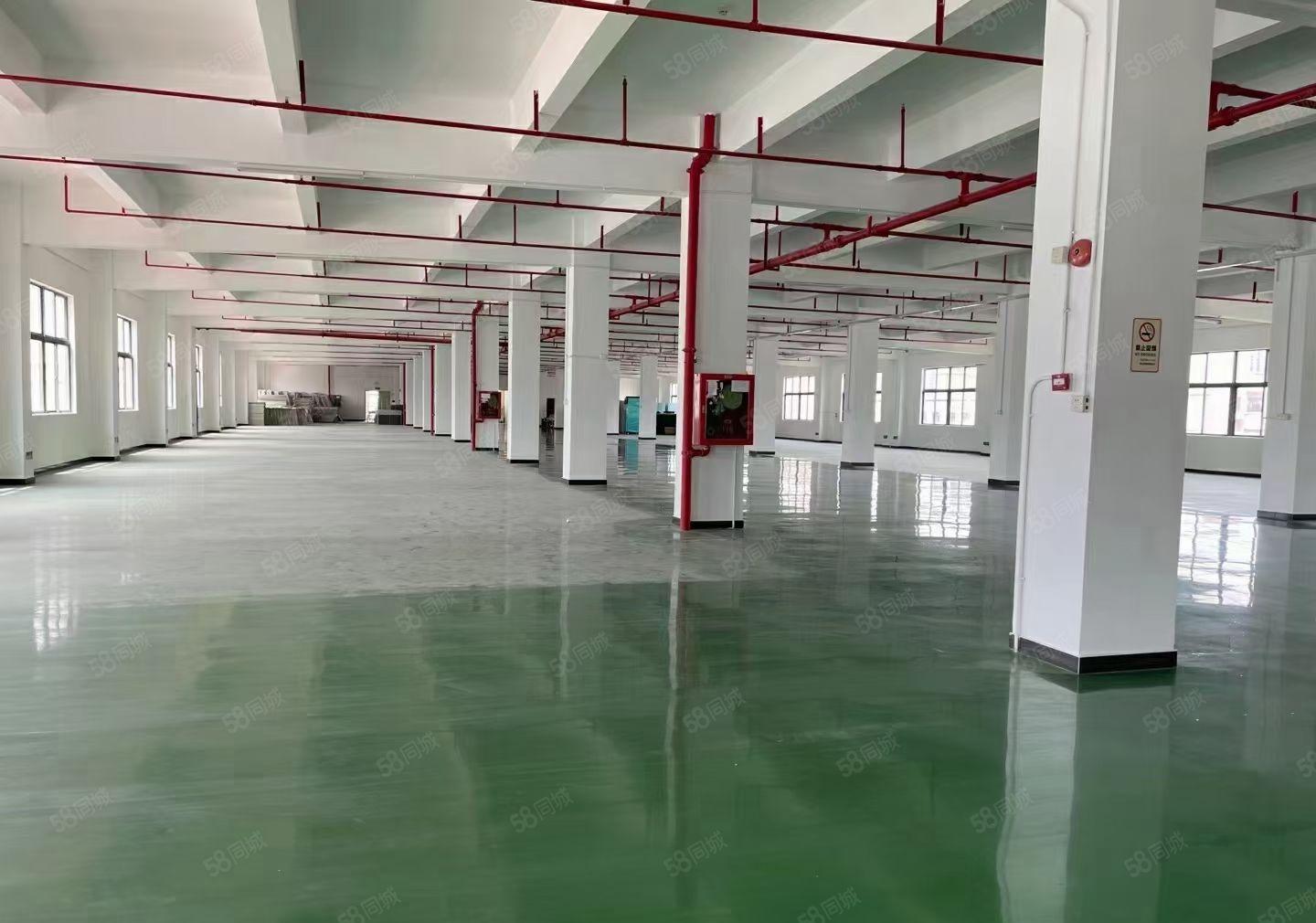 厂房仓库出租500平1000平2000平米坂田地铁口研发办公