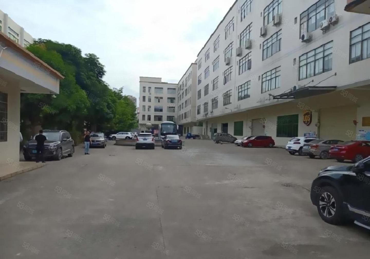 龙岗南联主干道旁800平电商仓库  200平起租公摊小价格低