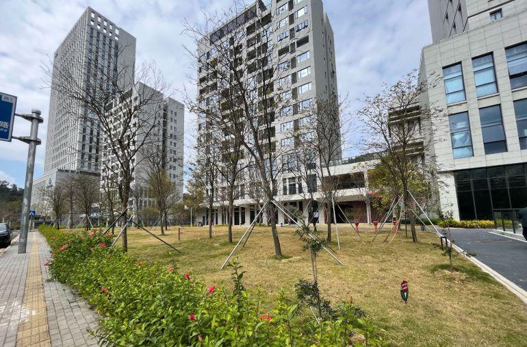 横岗原房东全新高新产业园500平超长免租期厂房低价出租