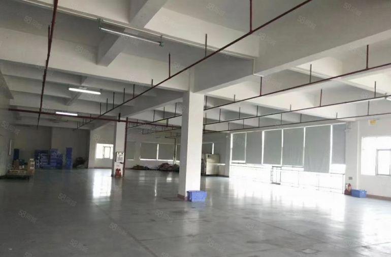 坂田上雪工业区1000平2000平带装修标准厂房出租仓库招租