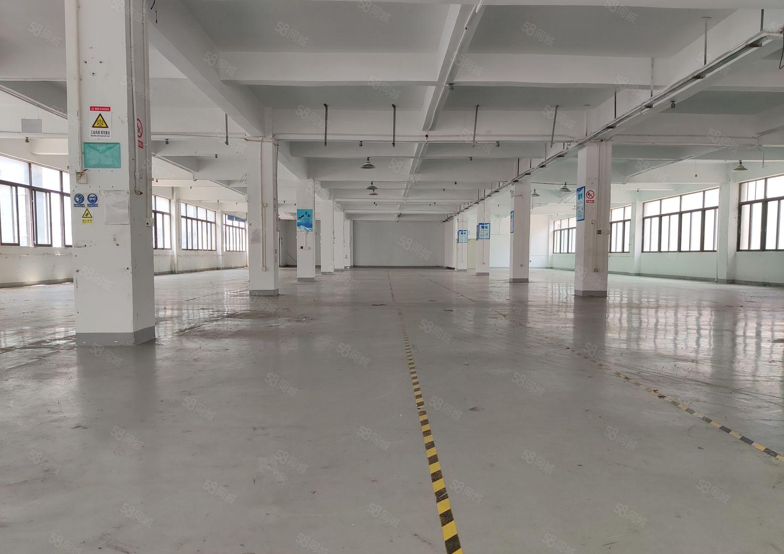 龙岗爱联地铁口原房东二楼1050平厂房出租300平起可分租