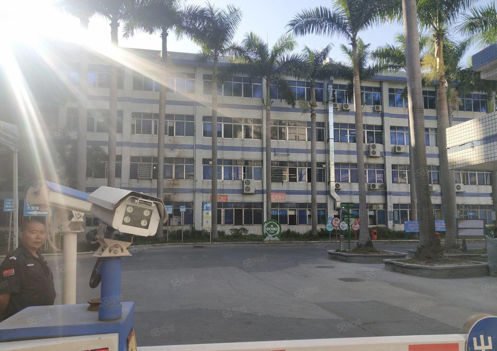 100平起分租坂田原房东上雪工业区办公仓库厂房出租1000平