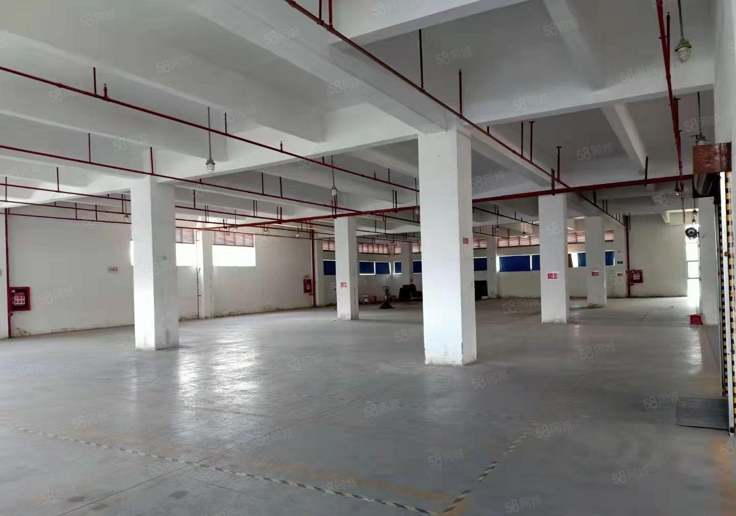 平湖白泥坑海吉星物流园边上了5米高1楼1500平方出租可分租