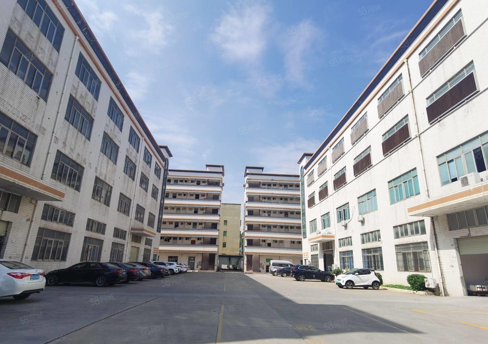 龙东工业区新空出2楼600平方带精装修办公室厂房出租