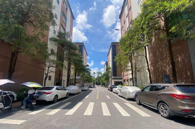 坂田云里智能园600平，电商办公仓库100平起租，带装修