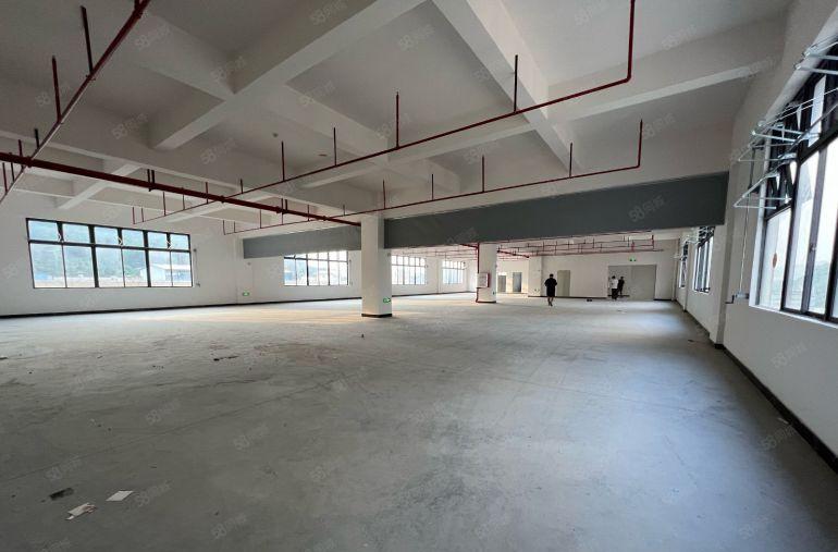 横岗荷坳整层2000平带消防喷淋，500平起分，不限行业