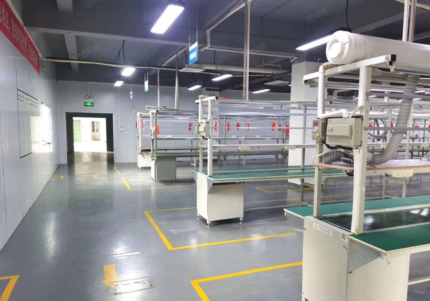 坂田五和天虹附近500平办公电商仓库厂房出租精装修