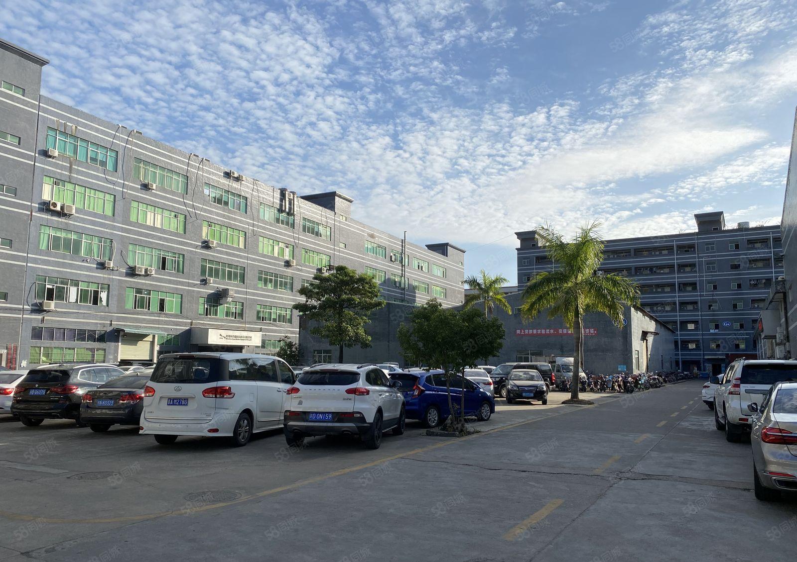 龙岗龙城吉祥地铁站附近新出楼上800平厂房仓库办公可分租