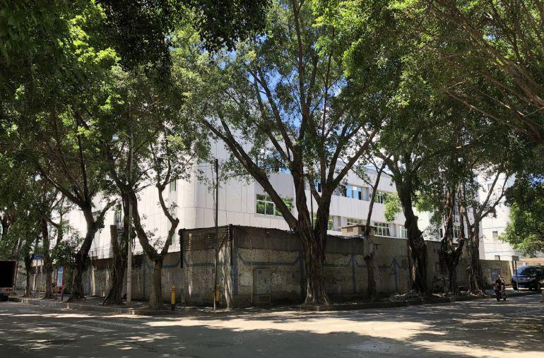 平湖辅城坳工业区独院厂房出租8200平方可分租全新装修。