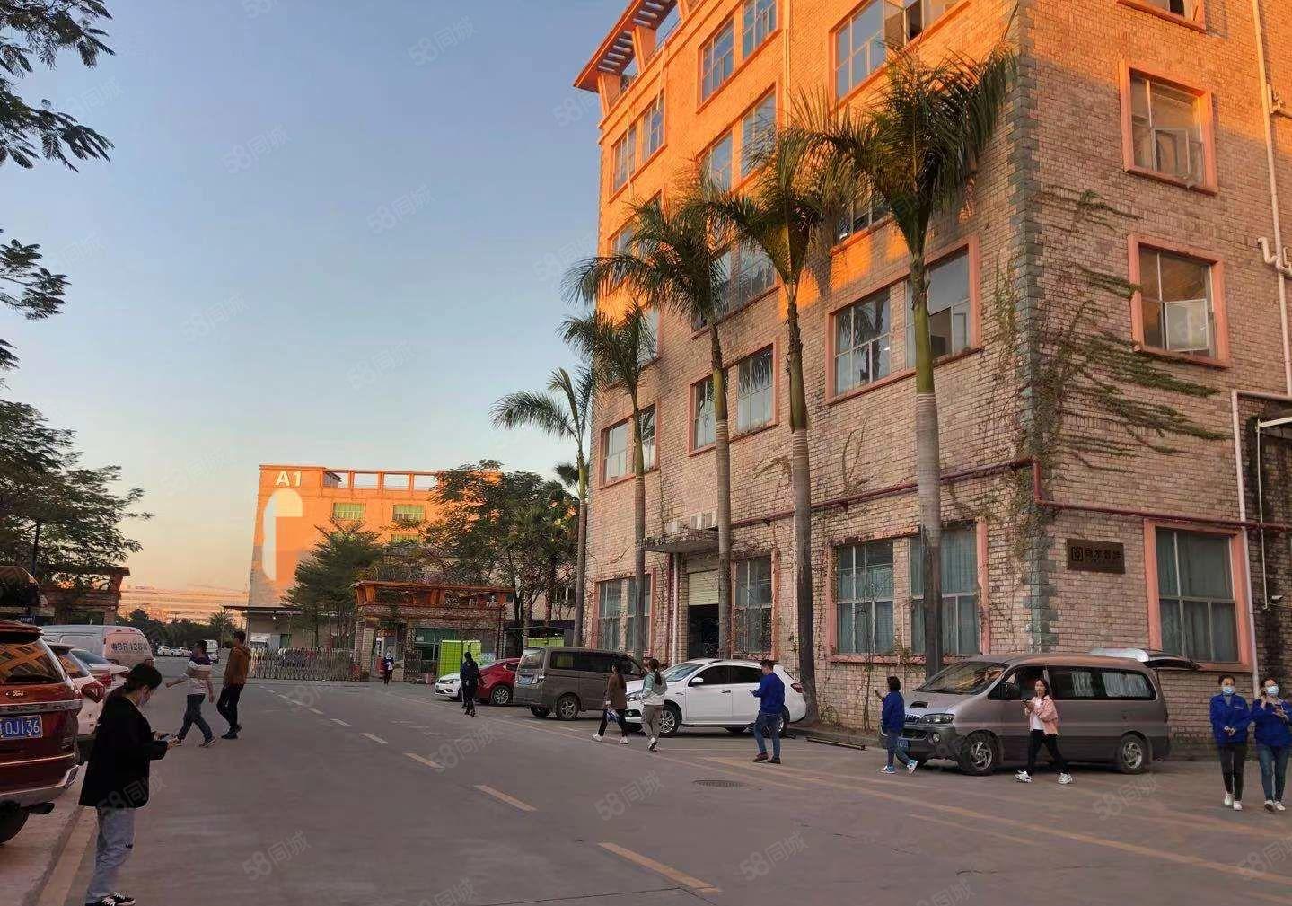 免租期3个月！坪地原房东工业区楼上3800平厂房大小分租