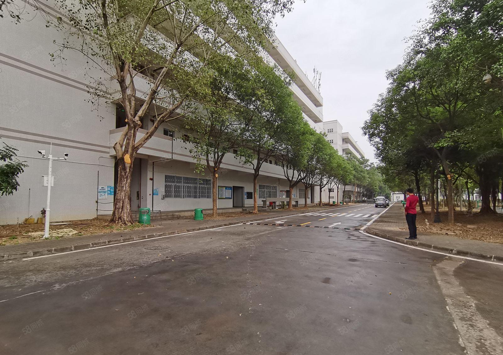 200平起租坂田大型工业园精装修电商办公室仓库厂房出租可分租