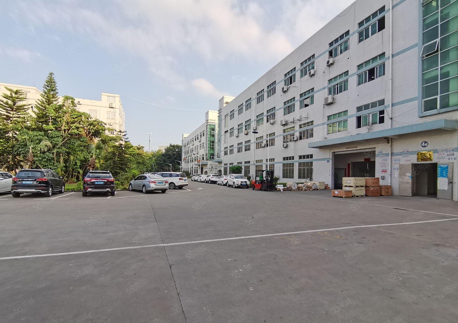 龙东爱南路独栋装修1000平厂房出租可做汽修展厅等行业可分租