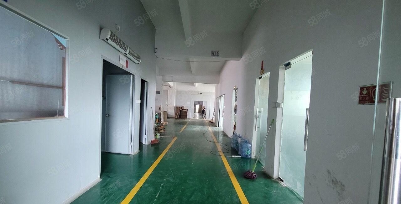 500平方龙岗坪地低价精装修标准厂房出租！