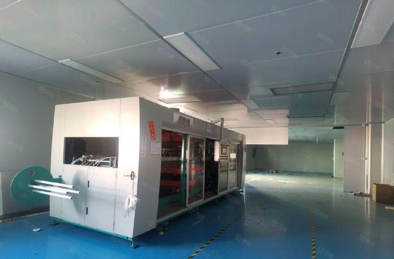 300平米起租 横岗六约地铁口新出1300平米带装修厂房出租