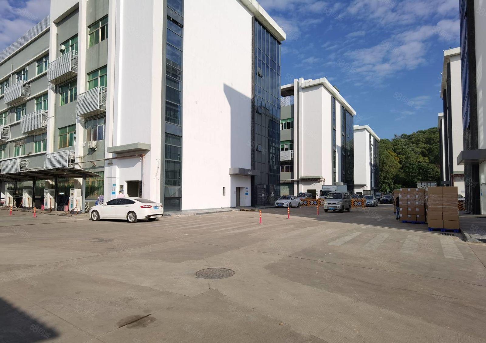 坂田水电齐全1000平厂房出租隔好办公室园区形象好主干道旁