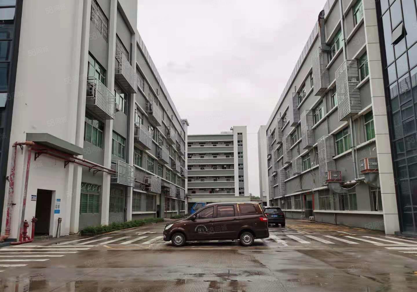 全面降价，，，，，龙岗爱联精装修1900平地铁口电商仓库出租