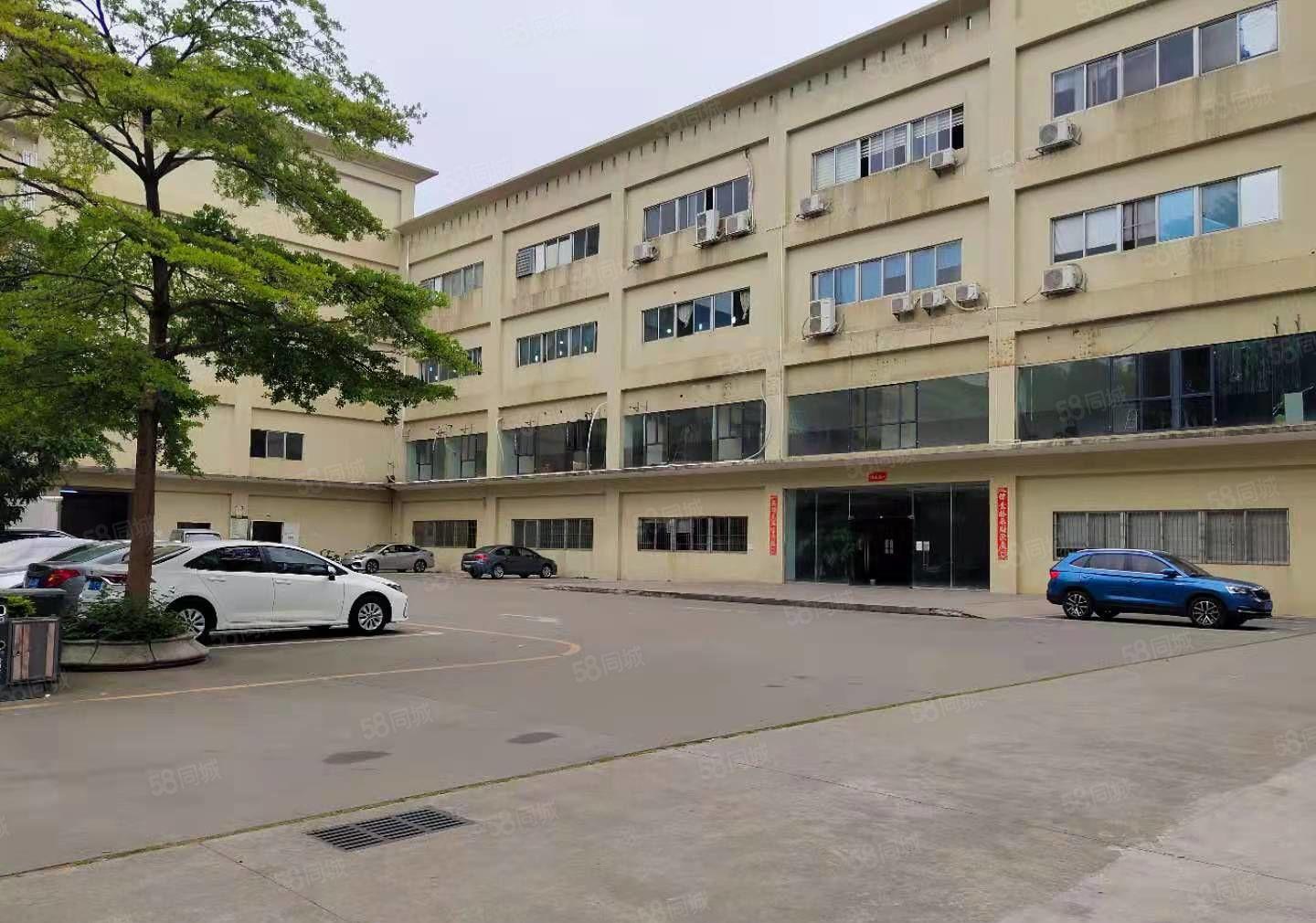 爱联嶂背工业园新出原房东标准厂房一楼1500平方出租可分租