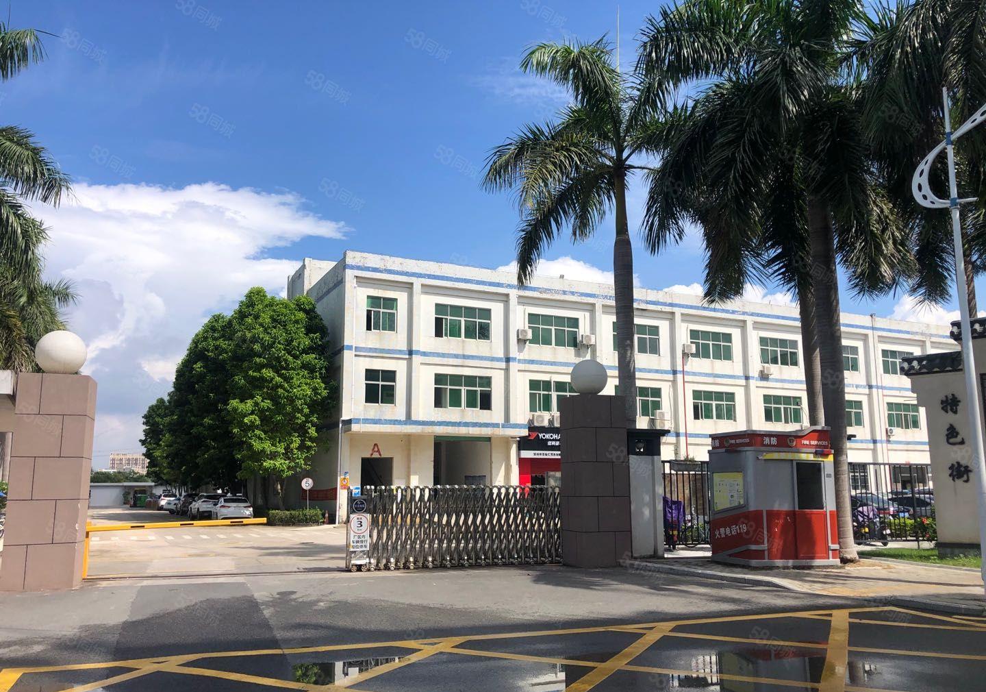 嶂背市场边大型园区新空出2楼360平方全新地坪漆厂房出租