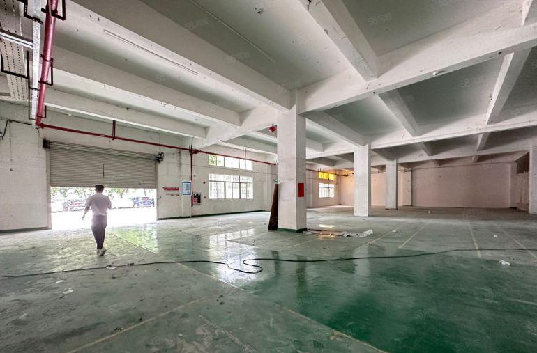 龙岗南联工业区一楼3000平仓库厂房出租 300平起租