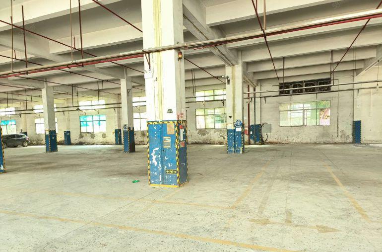 原房东红本独门独院工业区厂房出租一楼仓库出租厂房大小分租空地