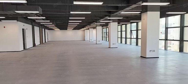 （出租）龙岗坂田电商产业园高端园区800平精装修可分超低价