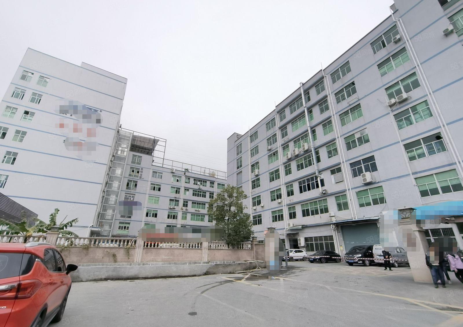 上雪科技园1300平带装修房源原房东直租可以分租